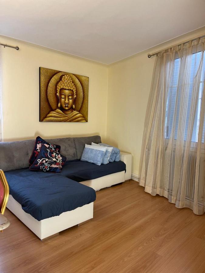 Ferienwohnung Le Cosy Schiltigheim Exterior foto