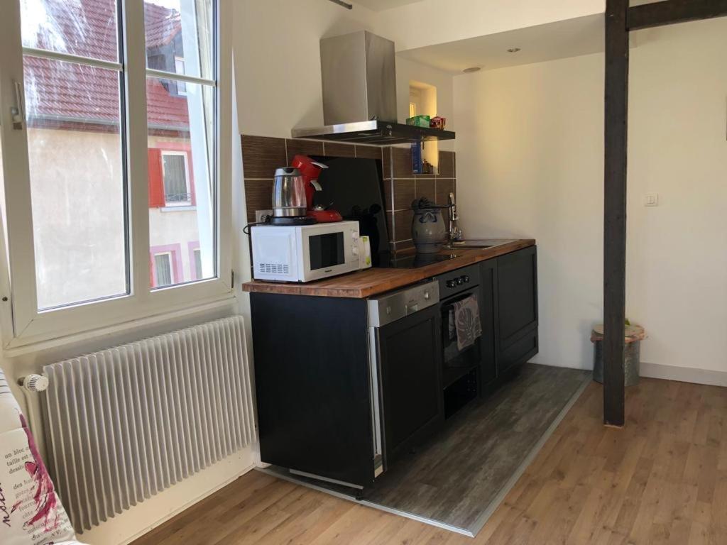 Ferienwohnung Le Cosy Schiltigheim Exterior foto