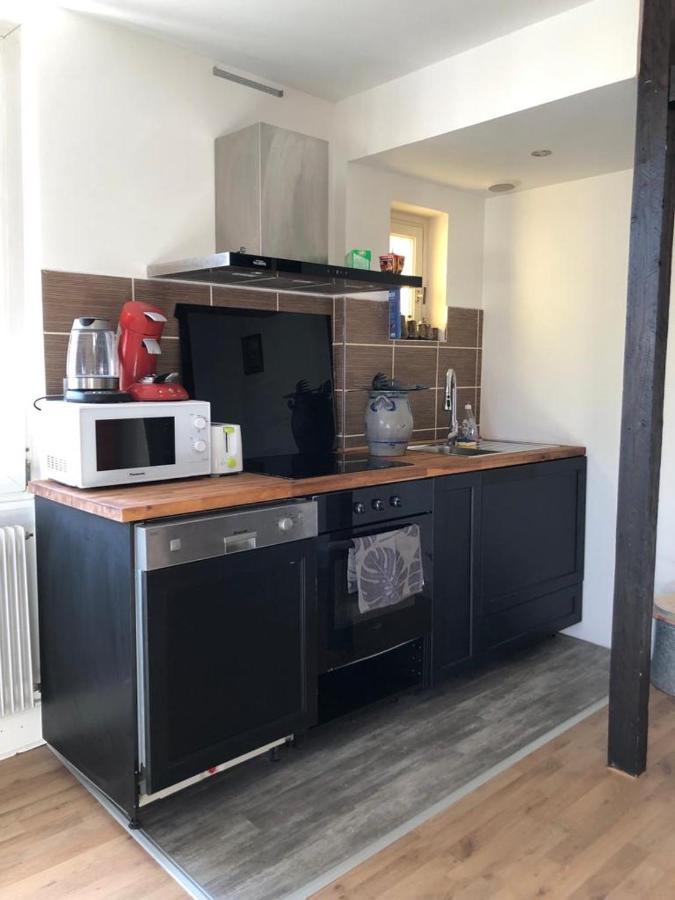 Ferienwohnung Le Cosy Schiltigheim Exterior foto